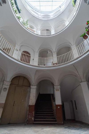 Comfort As Usual Bari